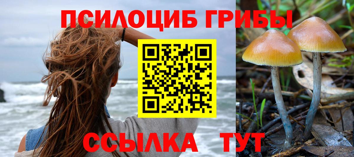 Киреевск  Псилоцибиновые грибы прущие грибы  Вход с VPN  Галлюциногенные грибы Psilocybe 